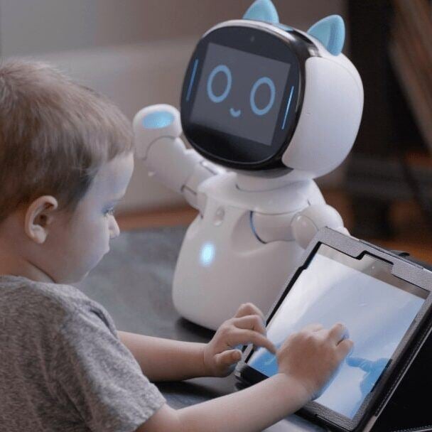 Kebbi compact robot with cat-ear design